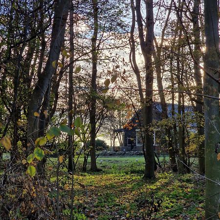 Huize Dijkwater Dreischor Buitenkant foto