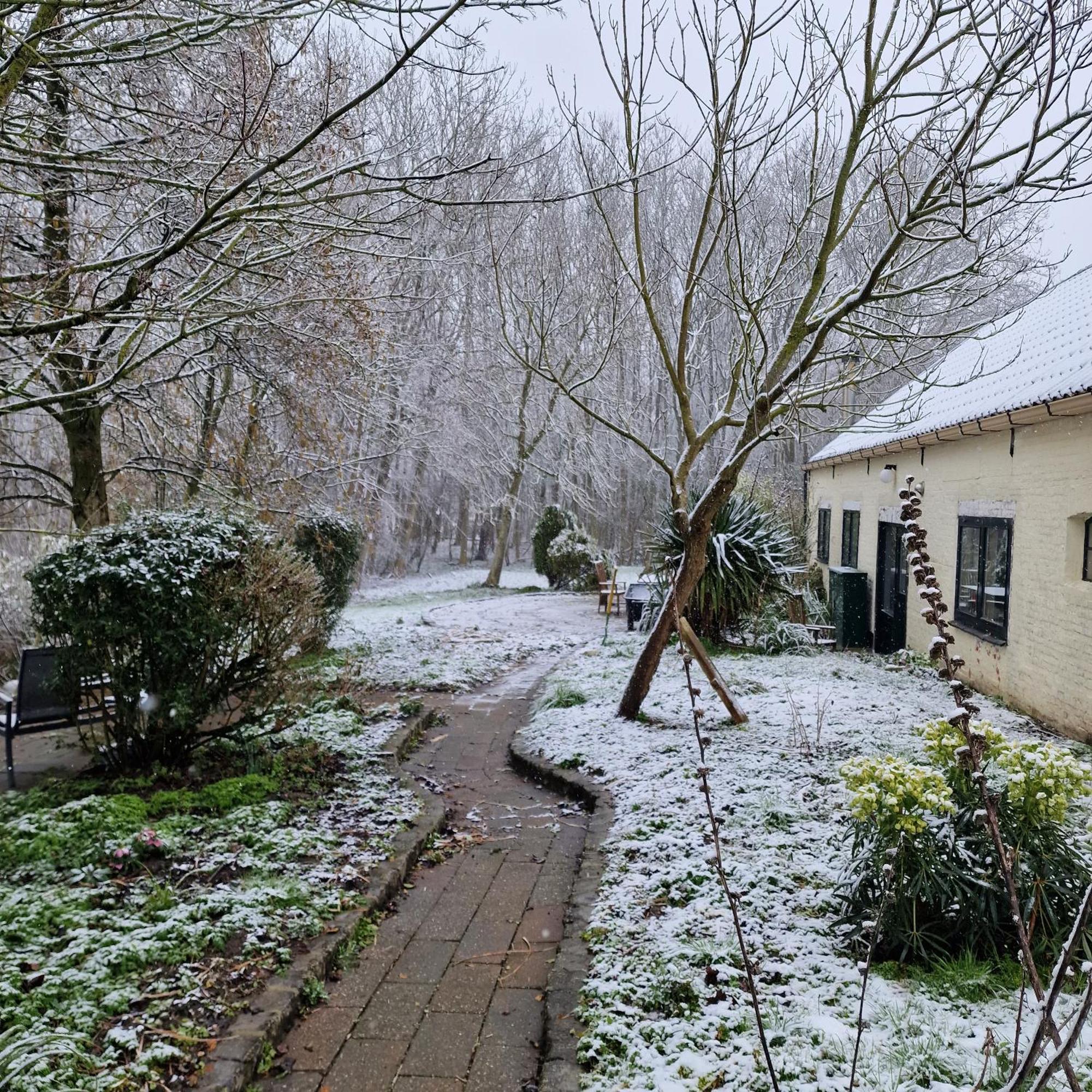 Huize Dijkwater Dreischor Buitenkant foto